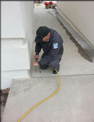 bom-thuoc-diet-moi-xuong-nen