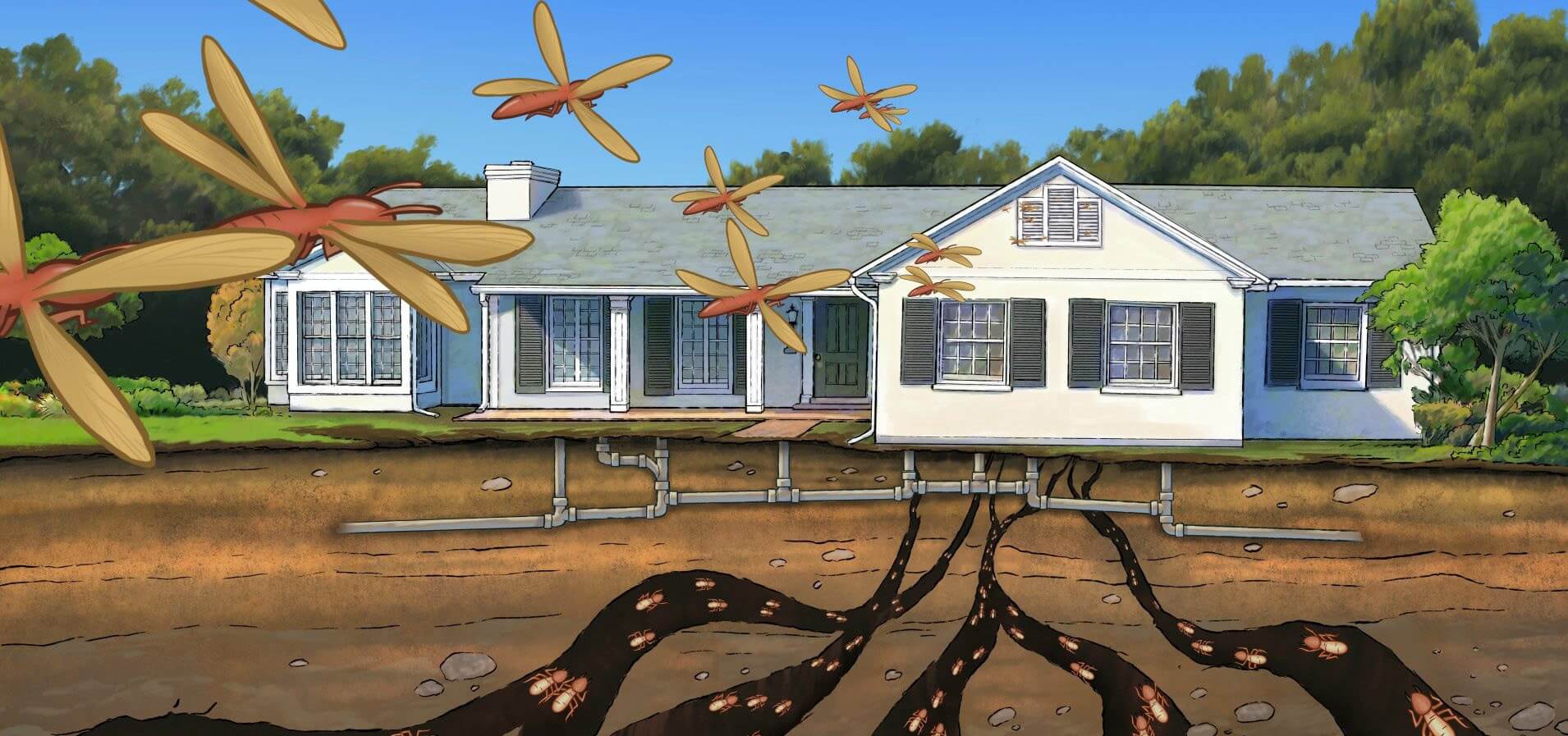 moi-xam-nhap-vao-nha