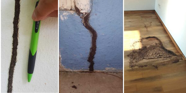 xac-dinh-khu-vuc-bi-moi